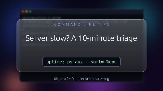 Performance Triage: The server is slow: first ten minutes