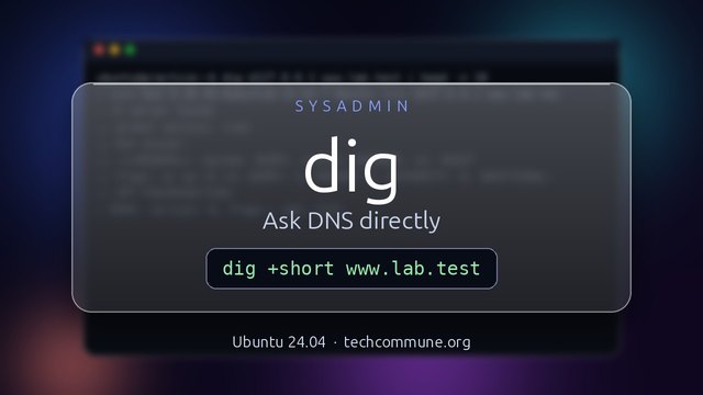 Dig